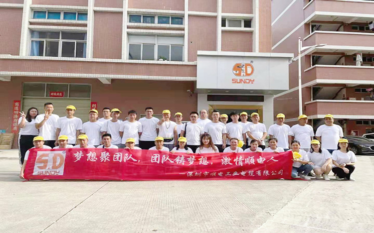 “夢想聚團隊，團隊鑄夢想”順電2021年旅游圓滿結束